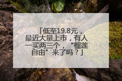 低至19.8元，最近大量上市，有人一买两三个，“榴莲自由”来了吗？