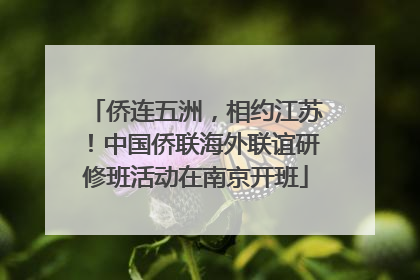 侨连五洲，相约江苏！中国侨联海外联谊研修班活动在南京开班