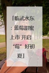 临武水东：蓝莓甜蜜上市 开启“莓”好初夏