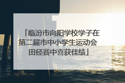 临汾市向阳学校学子在第二届市中小学生运动会田径赛中喜获佳绩