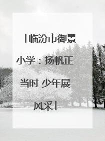 临汾市御景小学：扬帆正当时 少年展风采