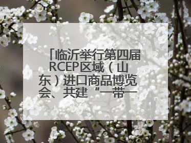 临沂举行第四届RCEP区域（山东）进口商品博览会、共建“一带一路”第三届临沂商城国际采购商大会新闻发布会