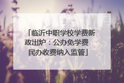 临沂中职学校学费新政出炉：公办免学费 民办收费纳入监管