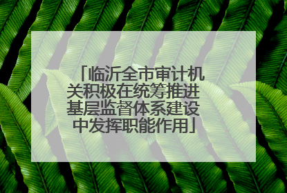 临沂全市审计机关积极在统筹推进基层监督体系建设中发挥职能作用