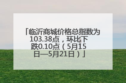 临沂商城价格总指数为103.38点，环比下跌0.10点（5月15日—5月21日）