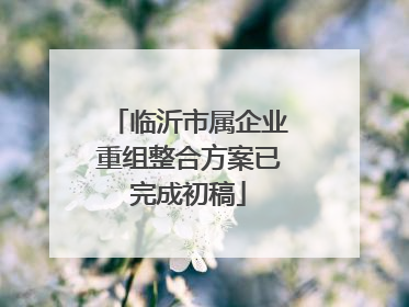 临沂市属企业重组整合方案已完成初稿