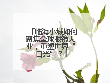 临海小城如何聚焦全球眼镜大业，重塑世界“目光”？