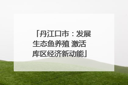 丹江口市：发展生态鱼养殖 激活库区经济新动能