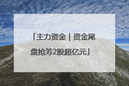 主力资金｜资金尾盘抢筹2股超亿元