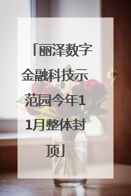 丽泽数字金融科技示范园今年11月整体封顶