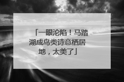 一眼沦陷！马踏湖成鸟类诗意栖居地，太美了