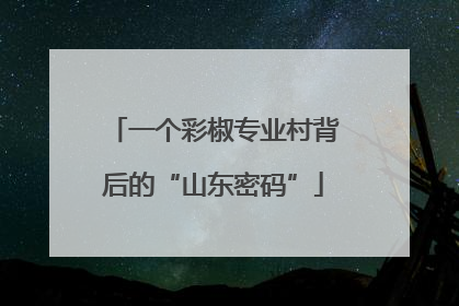 一个彩椒专业村背后的“山东密码”