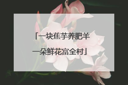 一块蕉芋养肥羊 一朵鲜花富全村