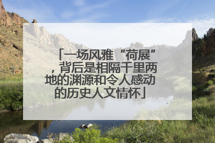 一场风雅“荷展”，背后是相隔千里两地的渊源和令人感动的历史人文情怀
