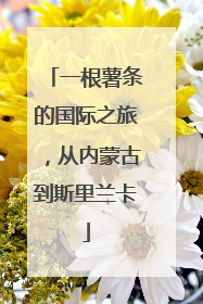 一根薯条的国际之旅，从内蒙古到斯里兰卡