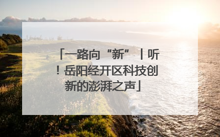 一路向“新”丨听！岳阳经开区科技创新的澎湃之声