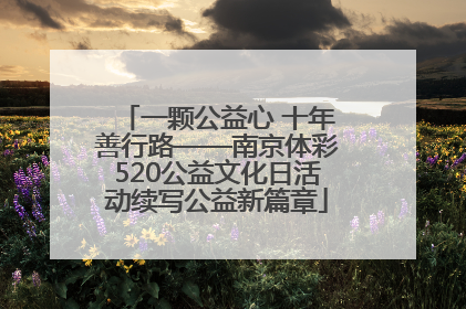 一颗公益心 十年善行路——南京体彩520公益文化日活动续写公益新篇章