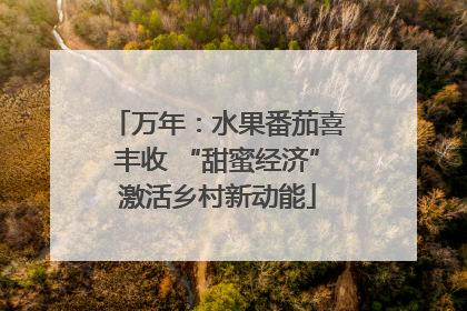 万年：水果番茄喜丰收 “甜蜜经济”激活乡村新动能