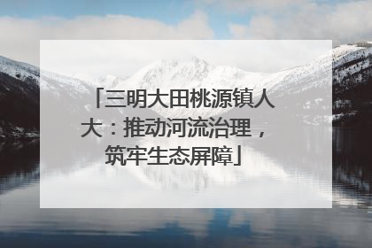 三明大田桃源镇人大：推动河流治理，筑牢生态屏障