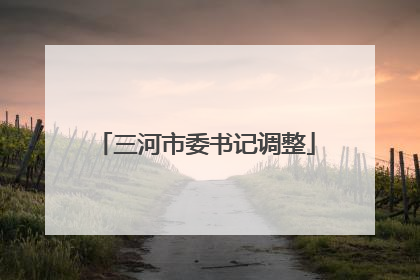 三河市委书记调整