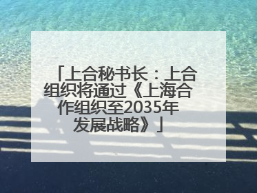 上合秘书长：上合组织将通过《上海合作组织至2035年发展战略》