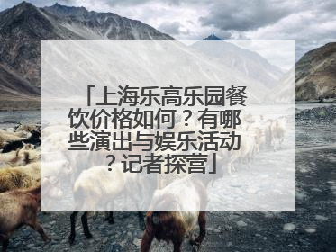 上海乐高乐园餐饮价格如何？有哪些演出与娱乐活动？记者探营