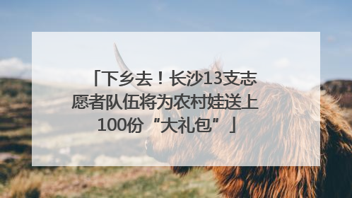 下乡去！长沙13支志愿者队伍将为农村娃送上100份“大礼包”