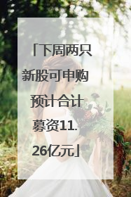 下周两只新股可申购 预计合计募资11.26亿元
