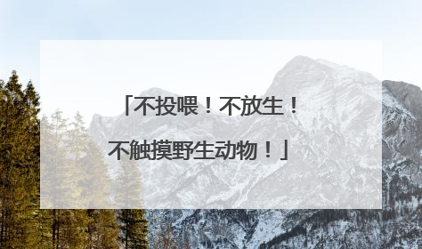 不投喂！不放生！不触摸野生动物！