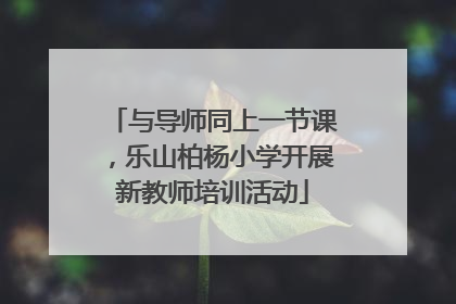 与导师同上一节课，乐山柏杨小学开展新教师培训活动