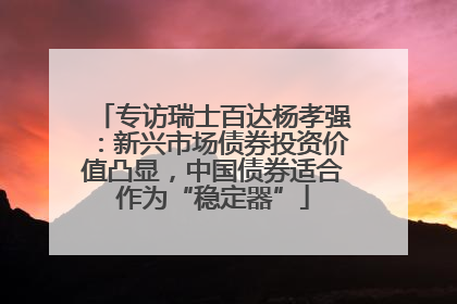 专访瑞士百达杨孝强：新兴市场债券投资价值凸显，中国债券适合作为“稳定器”