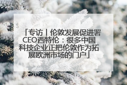 专访丨伦敦发展促进署CEO西特伦：很多中国科技企业正把伦敦作为拓展欧洲市场的门户