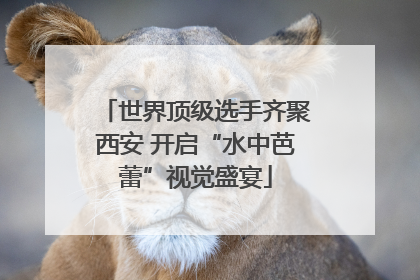 世界顶级选手齐聚西安 开启“水中芭蕾”视觉盛宴