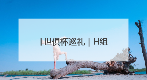 世俱杯巡礼｜H组：“银河战舰”遇上“亚洲希望”