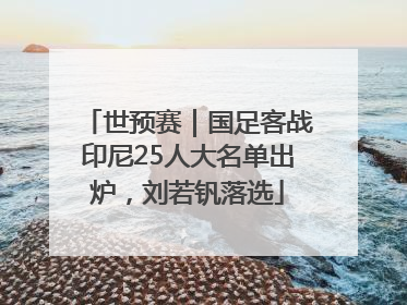 世预赛｜国足客战印尼25人大名单出炉，刘若钒落选