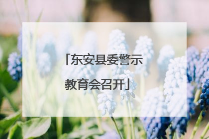 东安县委警示教育会召开