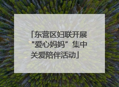 东营区妇联开展“爱心妈妈”集中关爱陪伴活动