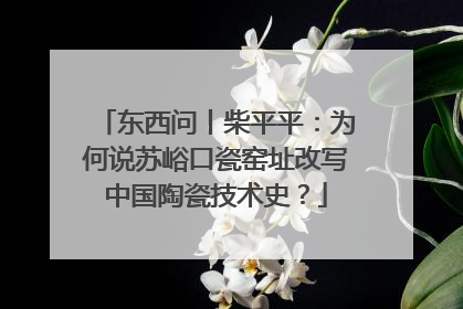 东西问丨柴平平：为何说苏峪口瓷窑址改写中国陶瓷技术史？
