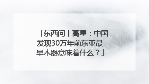 东西问丨高星：中国发现30万年前东亚最早木器意味着什么？