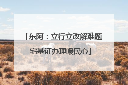 东阿：立行立改解难题 宅基证办理暖民心