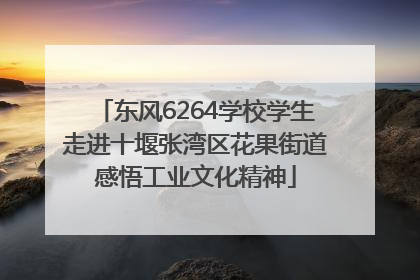 东风6264学校学生走进十堰张湾区花果街道感悟工业文化精神