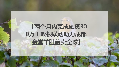 两个月内完成融资300万！政银联动助力成都金堂羊肚菌卖全球