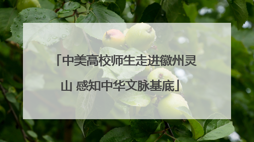 中美高校师生走进徽州灵山 感知中华文脉基底