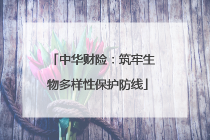 中华财险：筑牢生物多样性保护防线