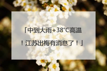 中到大雨+38℃高温！江苏出梅有消息了！