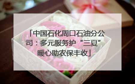 中国石化周口石油分公司：多元服务护“三夏” 暖心助农保丰收