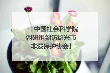 中国社会科学院调研组到访绍兴市非遗保护协会