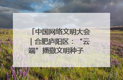 中国网络文明大会｜合肥庐阳区：“云端”播撒文明种子 共建清朗网络空间