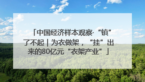 中国经济样本观察·“镇”了不起｜为衣做架，“挂”出来的80亿元“衣架产业”