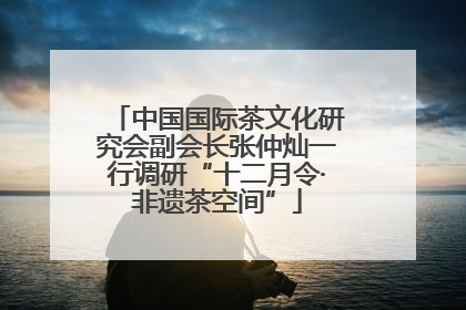 中国国际茶文化研究会副会长张仲灿一行调研“十二月令·非遗茶空间”